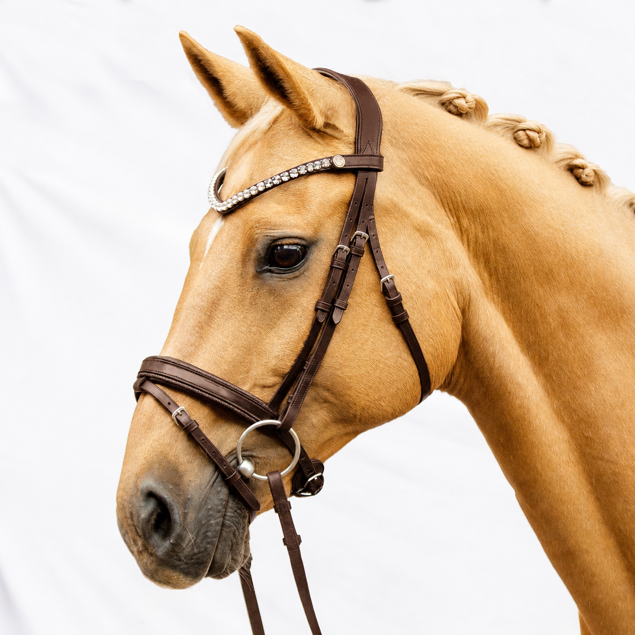 Trense Superior Braun Pony